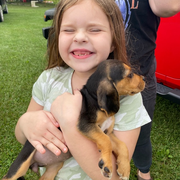 Meet the posher !! ❤️ - Picture 4 of 5